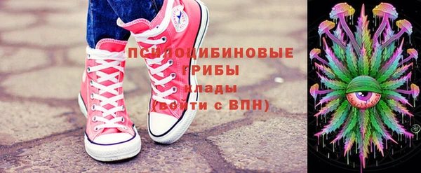 винт Аркадак