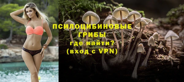тгк Алексин