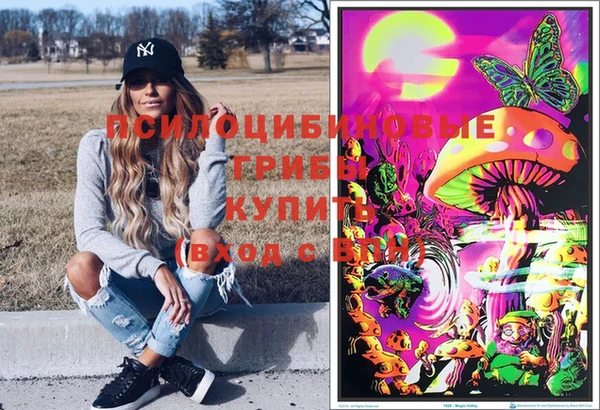 крисы Арсеньев
